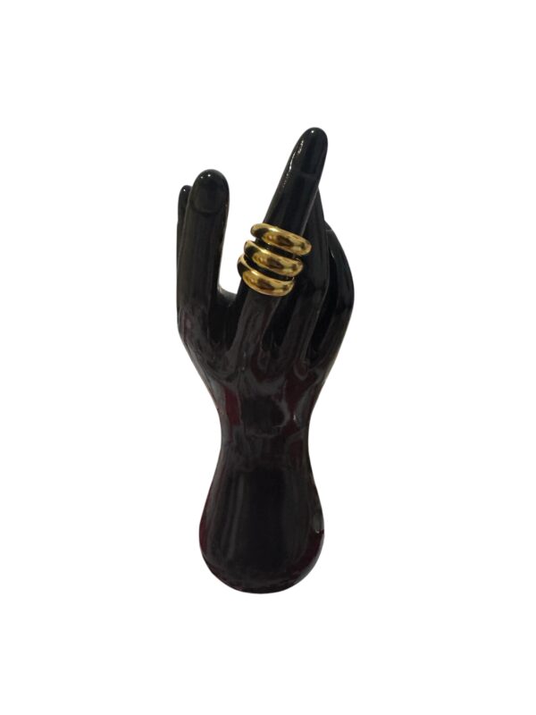 Anillo aros
