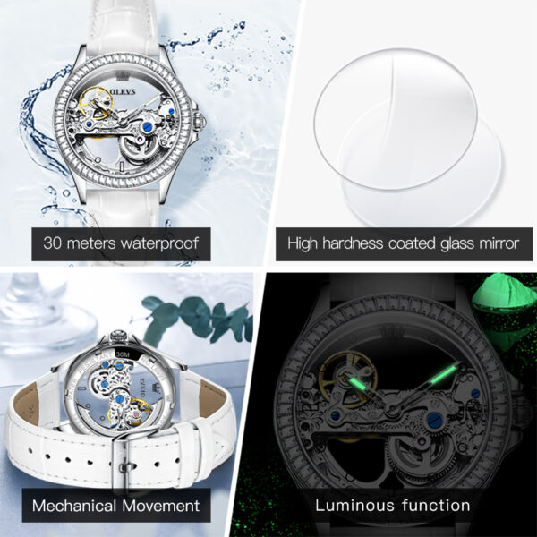 Reloj Automático Skeleton OLEVS Unisex de Lujo – Mecánismo Visible - Imagen 4